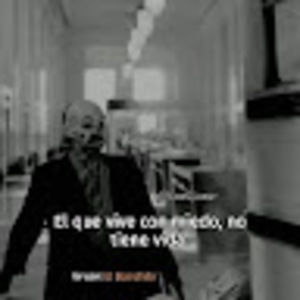 Meet your Posher, Alexander